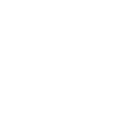 logo white small